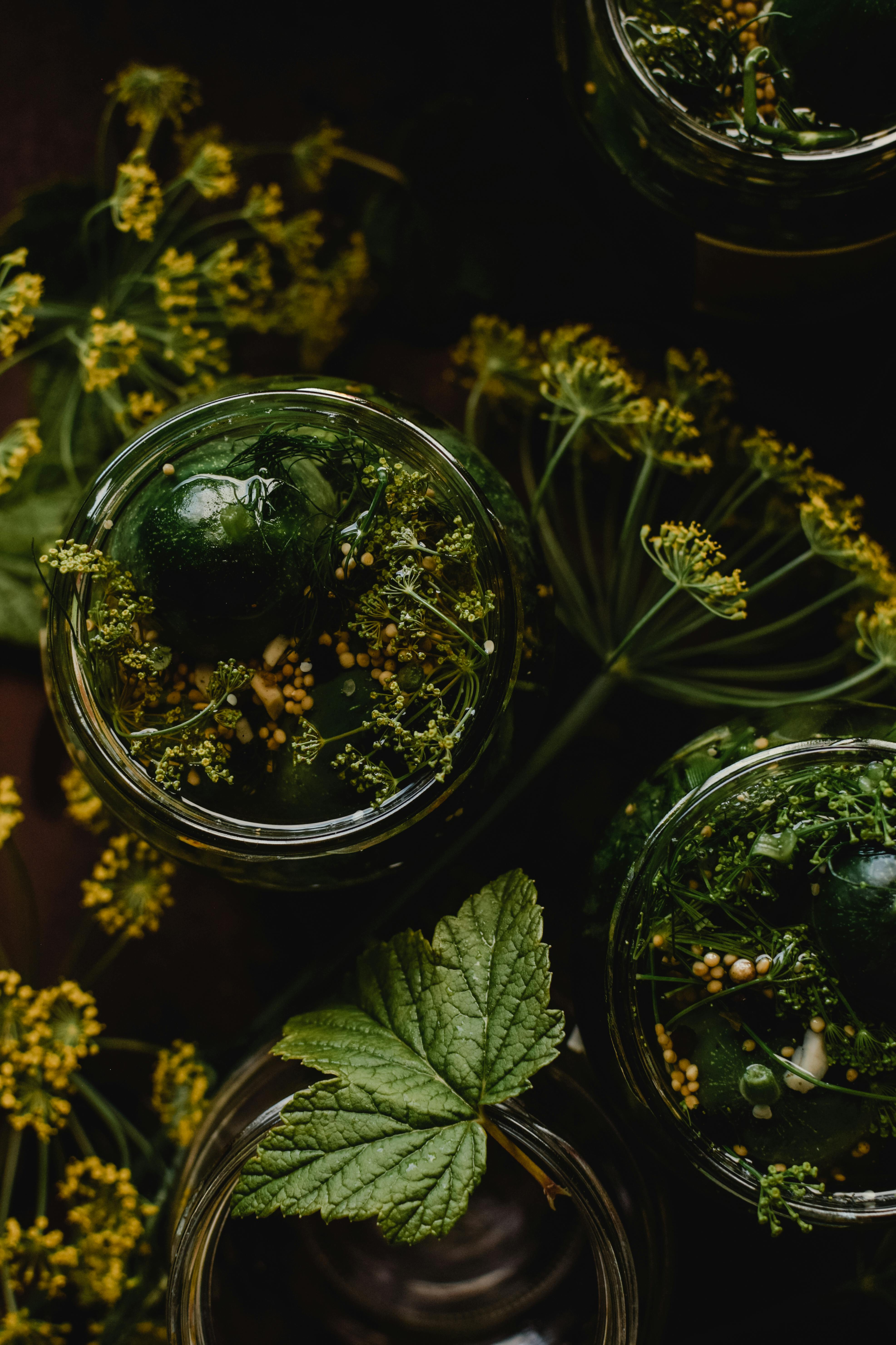 Fermentation jars